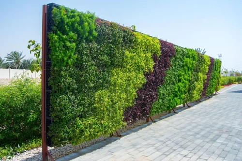 Green-Outdoor-Wall-Garden-1.webp